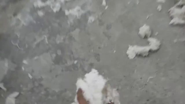 дробилка для целлюлозы. под заказ. +998909311877 Наш тг. канал: @oborudovanietashkent смотреть онлайн
