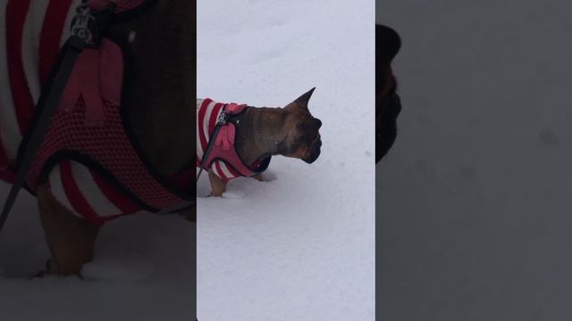 Так вкусненько🤣