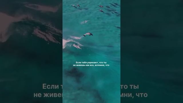 Это круто изменит твою жизнь, прочти 👇
Забери подарок в описании смотреть онлайн