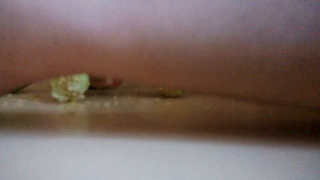 Фаршированный перец !Как очистить болгарский перец от семян за секунду?! смотреть онлайн