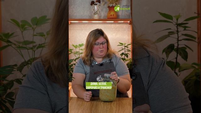 Белокочанная капуста на рассаду! смотреть онлайн