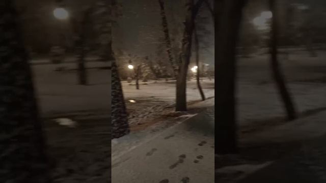 Эндуристы и мокрый снег