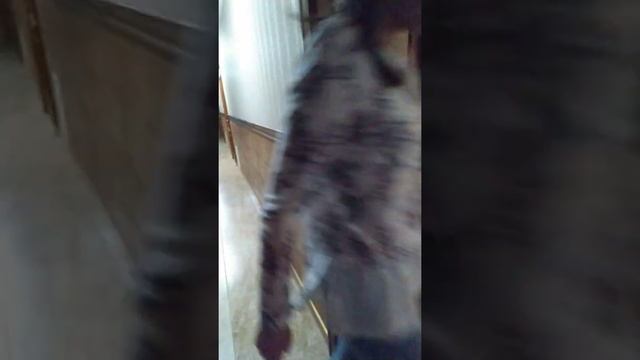 Отель Сонячний Промiнь скандал , грязная постель смотреть онлайн