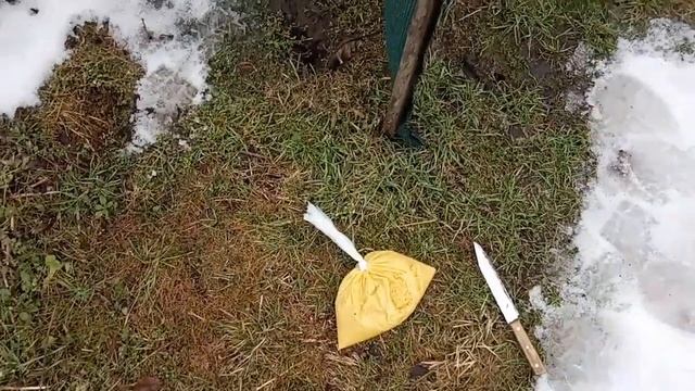 Пчёлы перезимовали Подкормка пчёл канди с пыльцой Температура в улье феврале Первый облёт #Bee смотреть онлайн