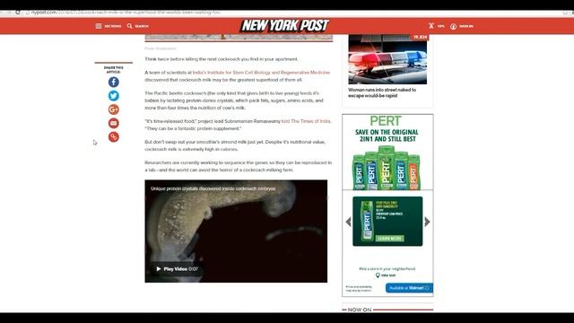 Scientists want us to drink cockroach milk! смотреть онлайн