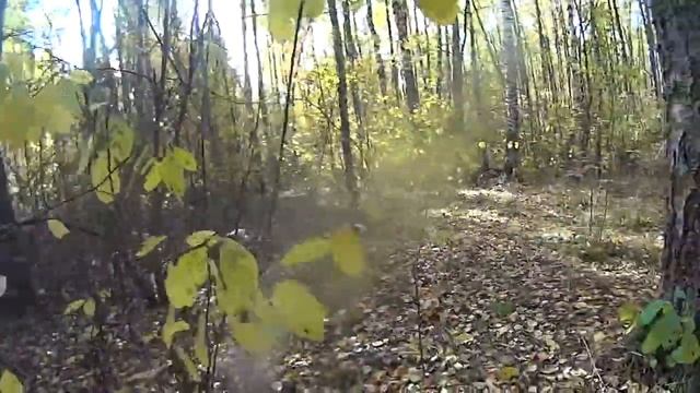 ЗАРЯ: Накрытие 2014 смотреть онлайн