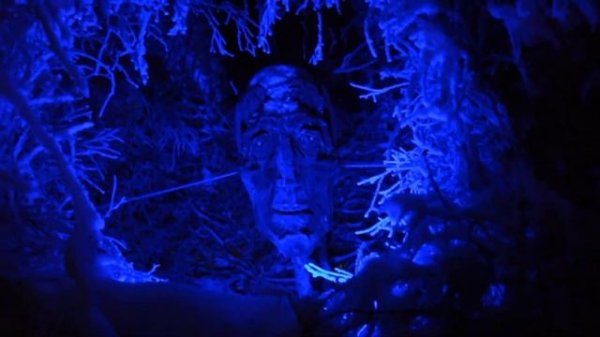 КИРОВСК. ТАИНСТВЕННЫЙ ЛЕС 2019