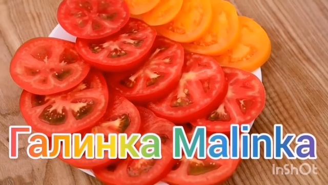 Колесниковы /Жесть /Неужели это нормально? /Обзор Влогов /#7-Я Колесниковы /Kolesnikov / смотреть онлайн