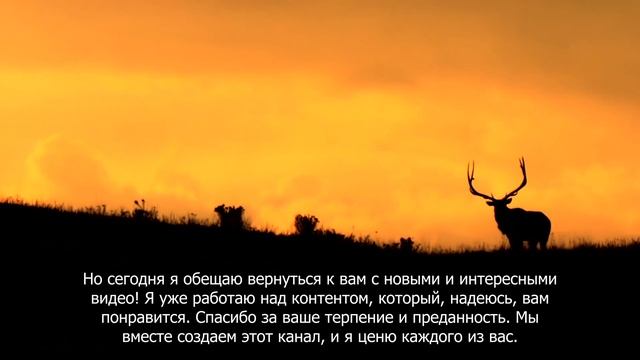 Всем привет! смотреть онлайн