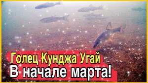 Рыбалка на севере Сахалина с подводной камерой!