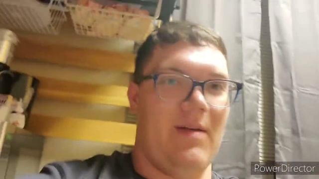 Dollar Tree X Caff Mocha & Vanilla Energy Latte Taste Test смотреть онлайн