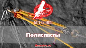 Полиспасты