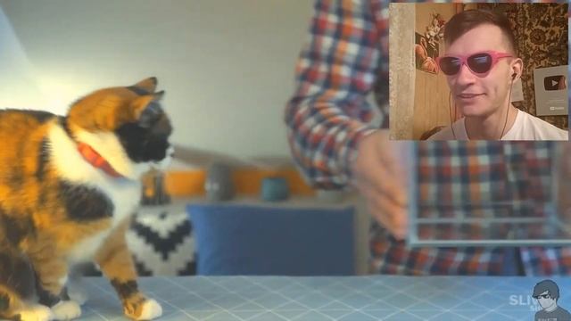 СЛИВКИ ШОУ RYTP / ПУП / РИТП / РУТП ► РЕАКЦИЯ смотреть онлайн