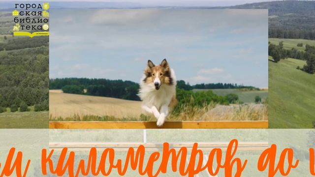 Эрик Найт «Лесси» смотреть онлайн