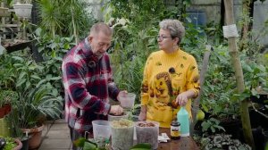 Пересадка орхидей во всех подробностя. Садовый клуб Наталии Петренко