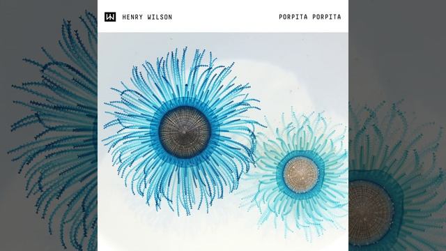 Porpita Porpita (Extended Mix)