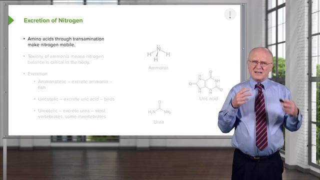02.01 Nitrogen, Nitrogen Cycle and Excretion of Nitrogen смотреть онлайн
