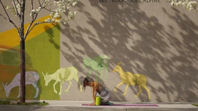 Щука (Kneeling to Handstand ) смотреть онлайн