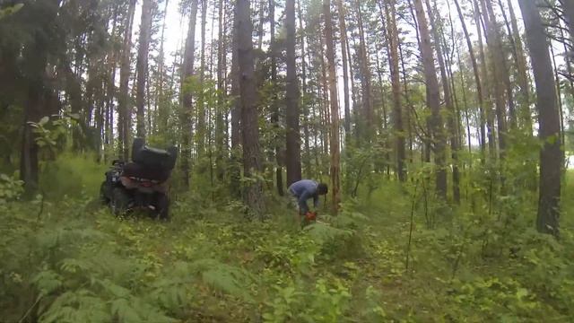 Summer 2014 смотреть онлайн