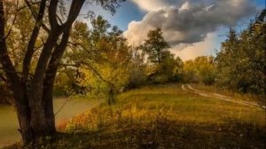А. Варламов. Романс «Напоминание» поёт Борис Штоколов
Автор видео: @Sapr1952