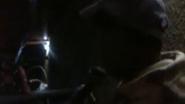 dj zamorita disco movil metropolis en vivo смотреть онлайн