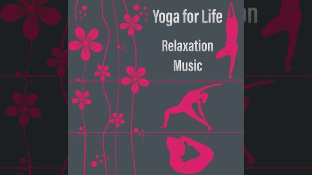 Energy & Focus смотреть онлайн