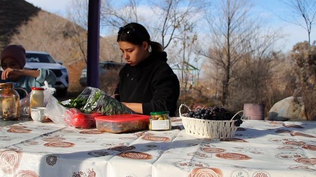 ЖИЗНЬ В ДЕРЕВНЕ. ПРИРОДА АЛМАТИНСКОЙ ОБЛАСТИ. ШАШЛЫК.
