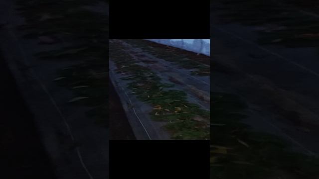 наконец-то снег ❄️❄️❄️ в Крыму смотреть онлайн