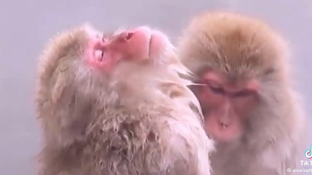 13-01-2025 смотреть онлайн