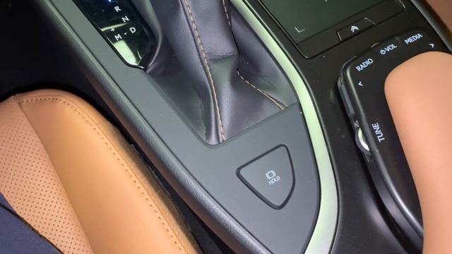 2021 Lexus UX200 Walkaround