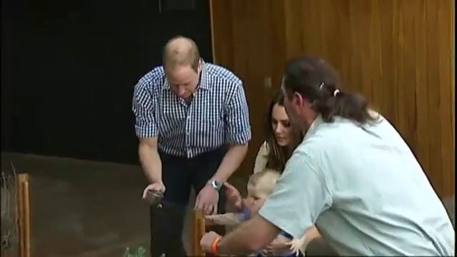 Prince George finally meets Bilby George смотреть онлайн