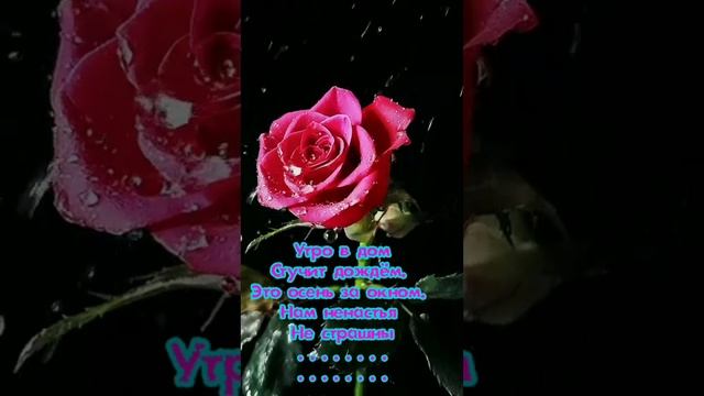 Небесный путь(5) смотреть онлайн