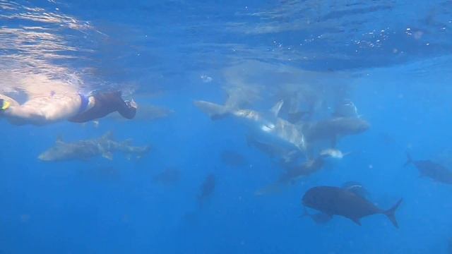 19 января 2020 г. смотреть онлайн