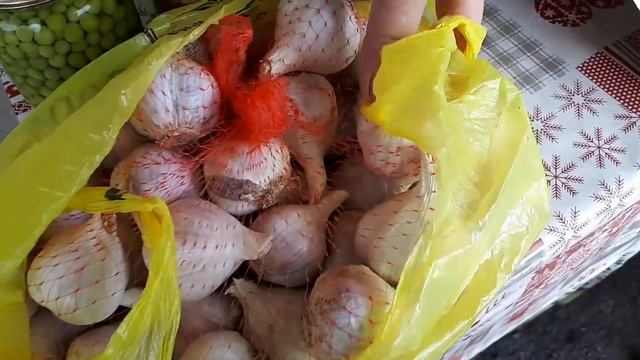 ДОМАШНЯЯ ПОСЫЛКА ОТ ЛЮДОЧКИ ИЛЬНИЦКОЙ