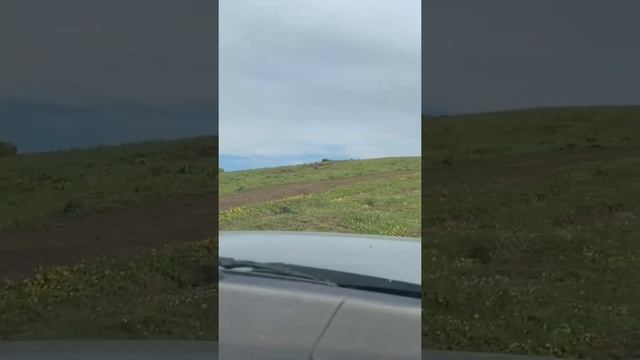 Nissan Patrol в горах Казахстана. Дорога вверх на плато Асы. Июнь 2022. Kazakhstan. Mountains смотреть онлайн