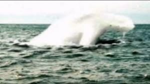 МЕМ ИЗ 2032(вы пока не поймёте)