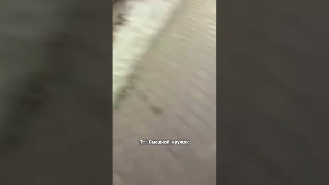 #подпишись #просмотры #реклама #рекомендации #как #скачать смотреть онлайн