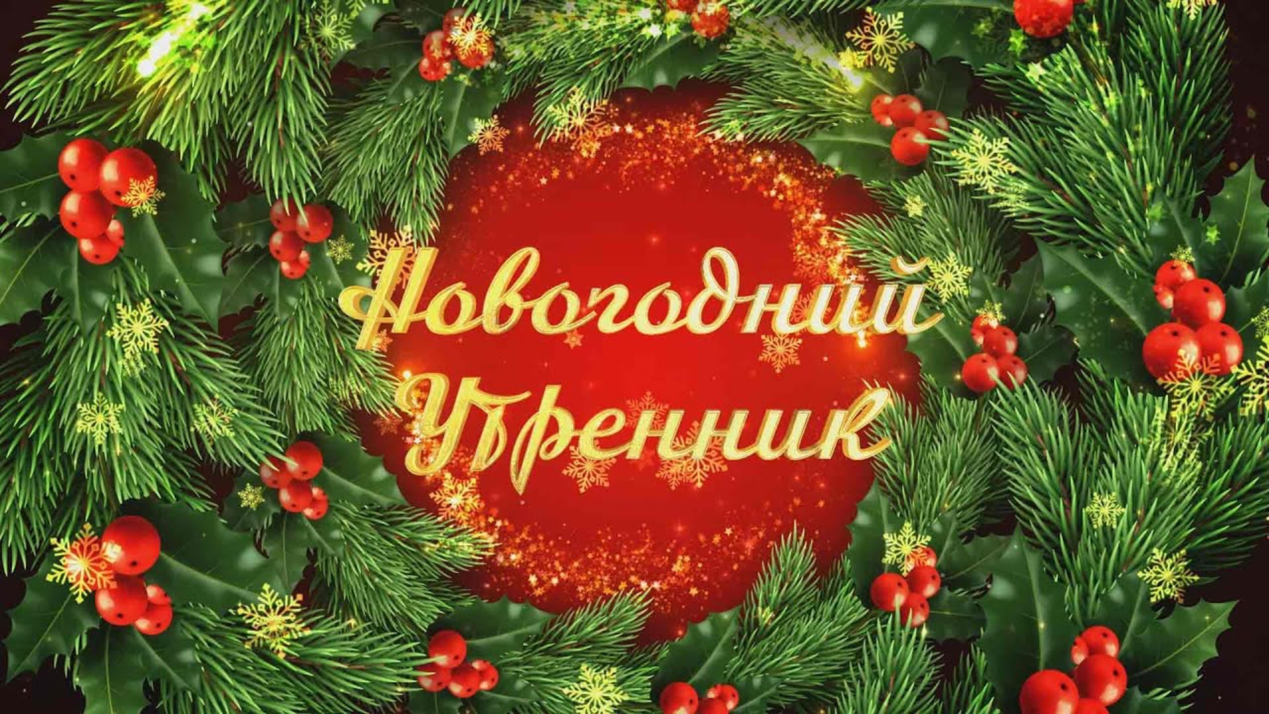 24 декабря 2024. Новогодний утренник, детский сад 117 смотреть онлайн