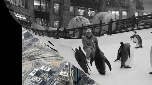 Ski Dubai & Burj Khalifa Tour (Lama Tours) - Lamadubai.com смотреть онлайн