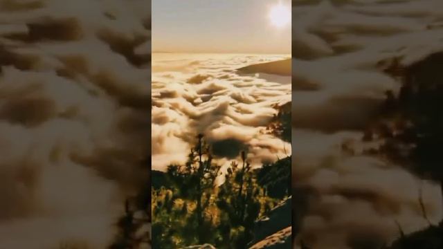 Покажите в вере вашей.(3) смотреть онлайн