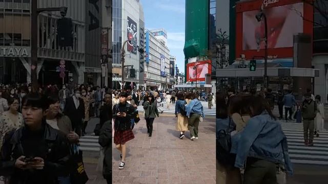 Перекресток на станции Сибуя . Токио. Япония #shorts #travel #japan смотреть онлайн
