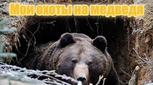 Мои охоты на медведя
