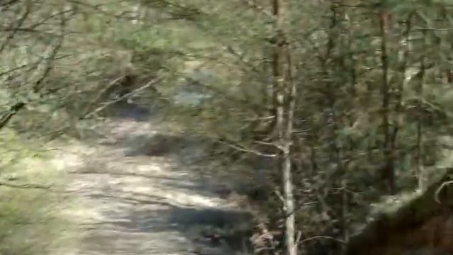 Off Road Mitsubishi Pajero.cz.3.oleśnica.MPG