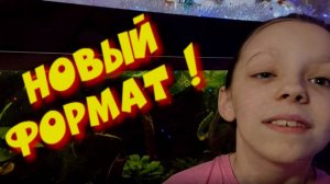 С аквариумистикой покончено? Новый формат! Новые обитатели!
