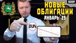 Облигации с доходностью до 28% - Новые выпуски январь 2025