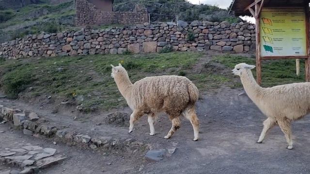 18 апреля 2024 г. смотреть онлайн