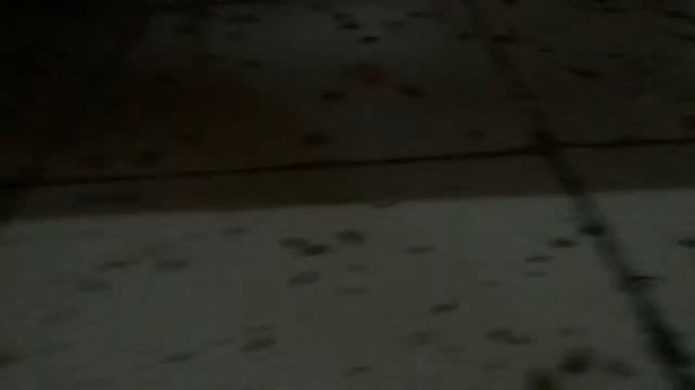 Уничтожение прусаков в производственном цеху. смотреть онлайн