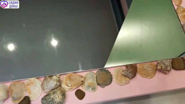 Рама для зеркала смотреть онлайн