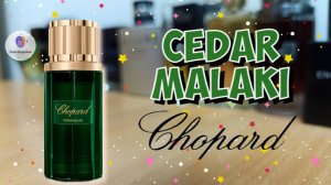 CHOPARD CEDAR MALAKI (2023) - знакомство с ароматом, первые впечатления и итоговое мнение