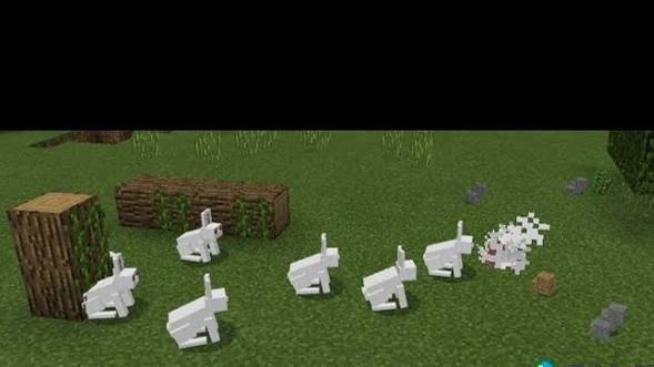 Интересные факты и кроликах